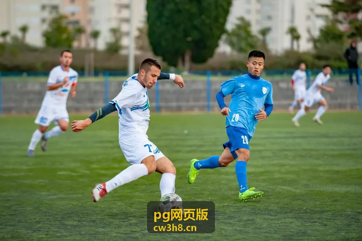 pg网页版新手指引封面