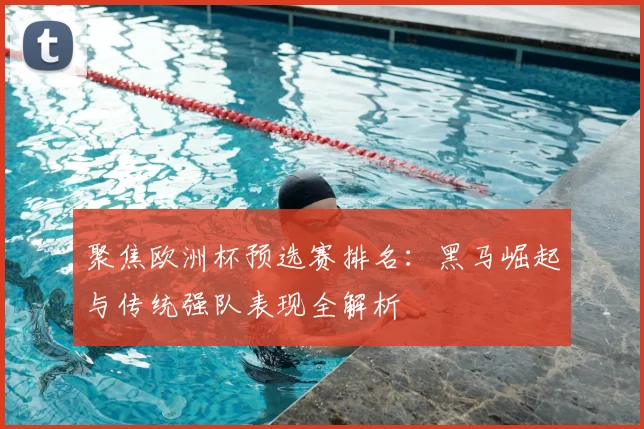 聚焦欧洲杯预选赛排名：黑马崛起与传统强队表现全解析