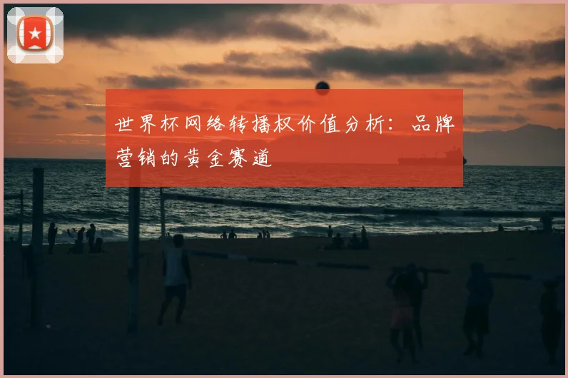 世界杯网络转播权价值分析：品牌营销的黄金赛道