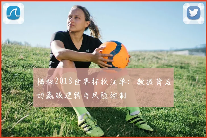 揭秘2018世界杯投注单：数据背后的赢钱逻辑与风险控制
