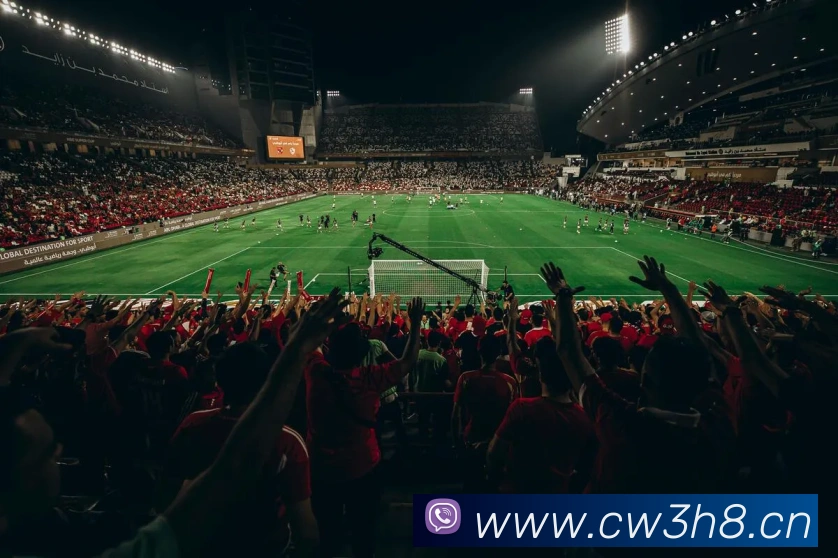 米兰网页版官网入口APP 体育赛事宣传图